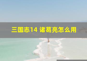 三国志14 诸葛亮怎么用